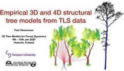 Empirical 3D and 4D structural tree models from TLS data - Pasi Raumonen 3D Tree Models for Forest Dynamics 9th - 10th Jan 2020 Helsinki, Finland