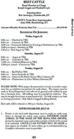 BEEF CATTLE Board Members in Charge - The Kentucky State Fair