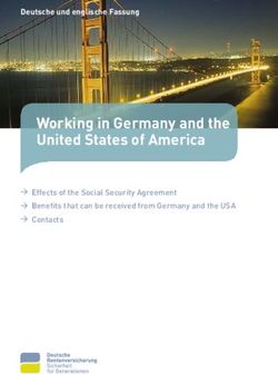 Working in Germany and the United States of America - Deutsche und englische Fassung - Deutsche ...