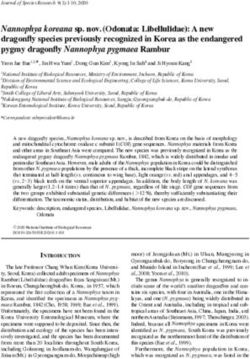 Nannophya koreana sp. nov. (Odonata: Libellulidae): A new dragonfly species previously recognized in Korea as the endangered pygmy dragonfly ...