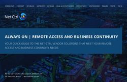 ALWAYS ON | REMOTE ACCESS AND BUSINESS CONTINUITY - Net-Ctrl