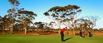 STRATEGIC OVERVIEW PLANNING FOR GROWTH UNDER THE REGIONAL CENTRES DEVELOPMENT PLAN - Goldfields-Esperance ...