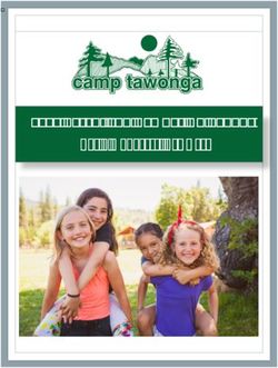 2019 Parent and Camper Guidebook - For a Wonderful Summer - netdna-ssl.com