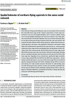 Spatial behavior of northern flying squirrels in the same social network