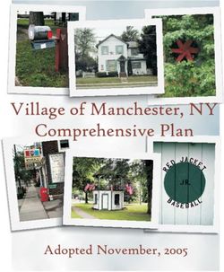 Village of Manchester, NY Comprehensive Plan - Adopted November, 2005