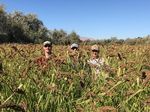 Barker Ranch Waterfowl and Wetland Summer Tech Position 2021