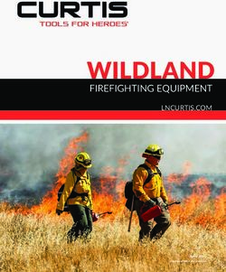 WILDLAND FIREFIGHTING EQUIPMENT - LNCURTIS.COM - LN Curtis