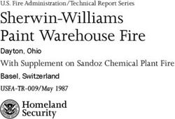 Sherwin-Williams Paint Warehouse Fire - Dayton, Ohio With Supplement on Sandoz Chemical Plant Fire Basel, Switzerland USFA-TR-009/May 1987