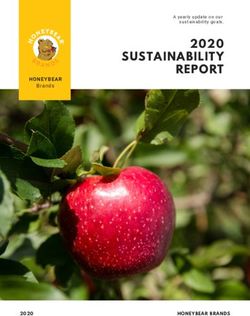SUSTAINABILITY REPORT - 2020 HONEYBEAR - Honeybear Brands