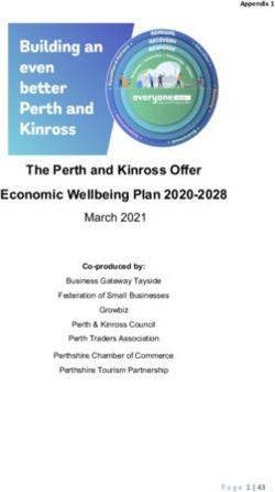 The Perth and Kinross Offer Economic Wellbeing Plan 2020 2028