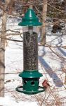 Bird-Friendly Winter Gardens - American Horticultural Society