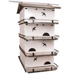 ATTRACTING PURPLE MARTINS TO YOUR YARD - By Anne Frischkorn and Doris Heard American Bird Conservancy
