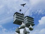 ATTRACTING PURPLE MARTINS TO YOUR YARD - By Anne Frischkorn and Doris Heard American Bird Conservancy