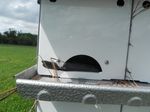 ATTRACTING PURPLE MARTINS TO YOUR YARD - By Anne Frischkorn and Doris Heard American Bird Conservancy