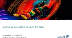 Innovative risk solutions using big data - Baden-Baden, 24 October 2016 Ludger Arnoldussen, Wolfgang Hauner - Munich Re