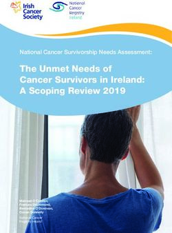 The Unmet Needs of Cancer Survivors in Ireland: A Scoping Review 2019 - National Cancer Survivorship Needs Assessment: HSE