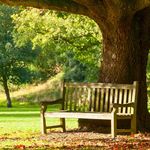 APSE Parks Seminar 2022 - Wednesday 30 March Lancashire Cricket Club, Emirates Old Trafford, Talbot Road, Manchester, M16 0PX