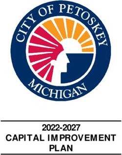 CAPITAL IMPROVEMENT PLAN 2022-2027 - City Of Petoskey, MI