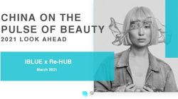 CHINA ON THE PULSE OF BEAUTY - 2021 LOOK AHEAD iBLUE x Re-HUB March 2021 - Webflow