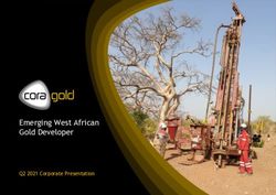 Emerging West African Gold Developer - Q2 2021 Corporate Presentation