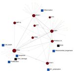 Convergent Canonical Pathways in Autism Spectrum Disorder from Proteomic, Transcriptomic and DNA Methylation Data
