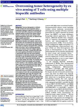 Overcoming tumor heterogeneity by ex vivo arming of T cells using multiple bispecific antibodies