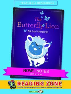 the butterfly lion blurb the butterfly lion blurb