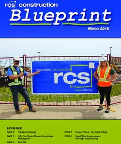 Blueprint - rcs construction