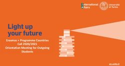 Erasmus + Programme Countries Call 2020/2021 Orientation Meeting for Outgoing Students - Unito