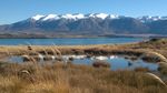 The Ohau Conservation Trust - Restoring the Balance: A Biodiversity and Natural Heritage