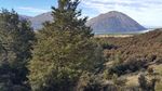 The Ohau Conservation Trust - Restoring the Balance: A Biodiversity and Natural Heritage