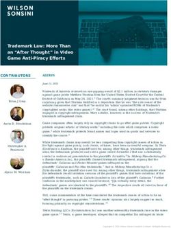Trademark Law: More Than an "After Thought" in Video Game Anti-Piracy Efforts - Wilson Sonsini