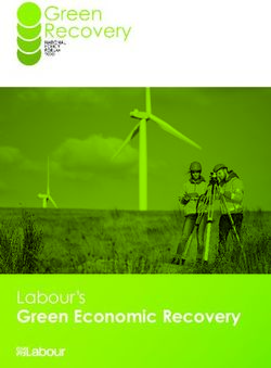 Labour's Green Economic Recovery - The Labour Party