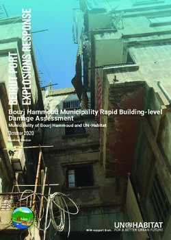 Bourj Hammoud Municipality Rapid Building-level Damage Assessment - Municipality of Bourj Hammoud and UN-Habitat October 2020 Working Version