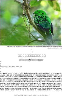 BORNEO: SABAH 28 MARCH - 11 APRIL 2019 - Birdquest