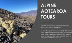 ALPINE AOTEAROA TOURS - Turboweb