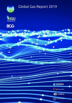 Global Gas Report 2019 - Boston Consulting Group