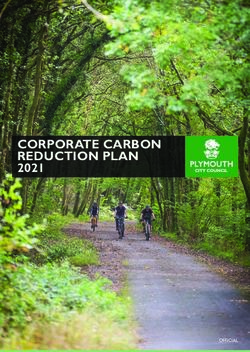 CORPORATE CARBON REDUCTION PLAN 2021 - Plymouth ...