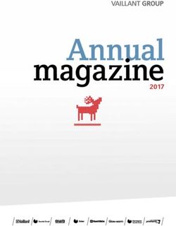 Annual magazine 2017 - Vaillant Group