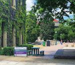 UNIVERSITY OF CAPE TOWN - 2024 UNDERGRADUATE PROSPECTUS