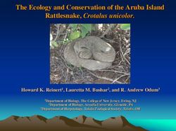 The Ecology and Conservation of the Aruba Island Rattlesnake, Crotalus unicolor.