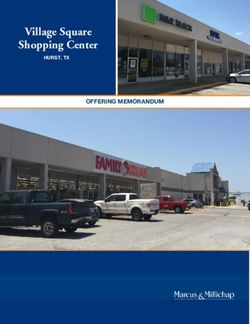 Village Square Shopping Center - OFFERING MEMORANDUM - Levy Retail Group