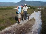 Wildcare Friends of Melaleuca Working bee report 2021