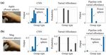Object affordance as a guide for grasp-type recognition - arXiv