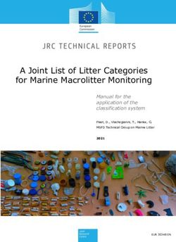A Joint List of Litter Categories for Marine Macrolitter Monitoring - Manual for the application of the classification system