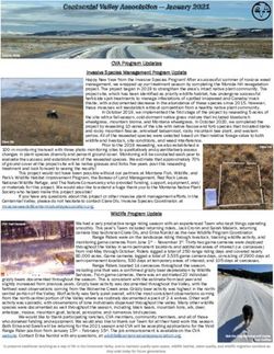 Centennial Valley Association - January 2021 - Centennial Valley Association