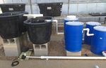 What is AQUAPONICS? EHT-136 - Aquaculture, Fisheries, & Pond Management