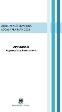APPENDIX B ARKLOW AND ENVIRONS LOCAL AREA PLAN 2018 - Appropriate Assessment