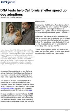 DNA tests help California shelter speed up dog adoptions - Phys.org