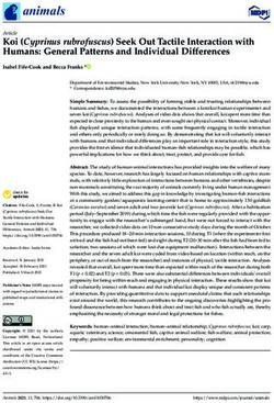 Koi (Cyprinus rubrofuscus) Seek Out Tactile Interaction with Humans: General Patterns and Individual Differences - MDPI